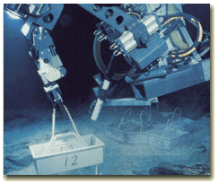 Eureka Nemo robot