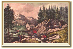 Gold Rush Miners